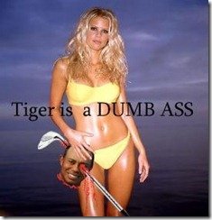 Tiger-is-a-dumb-ass